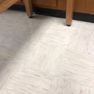 Meet your Posher, Lilyanna